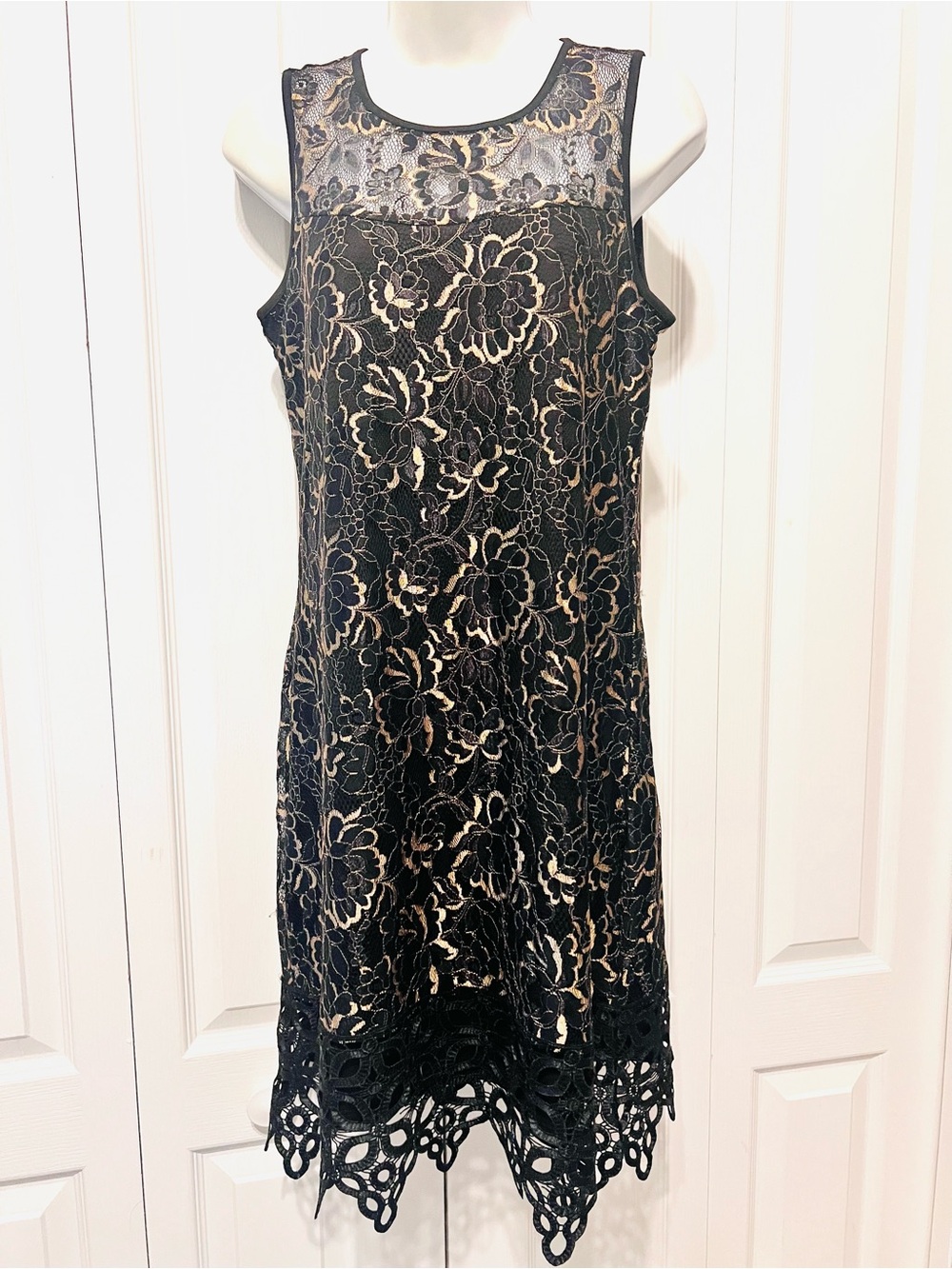 Cupio Black Lace Knee Length Dress Gold Underlayer-Small-Lined-Stretch-Casual